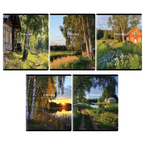 Тетрадь 96л. кл. Т5ск96 57663 Любимая страна "Дава"