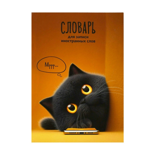 Записная книжка Словарь А5 24л Феникс+ 73203 Кот с телефоном, для записи иностранных слов "Дава"